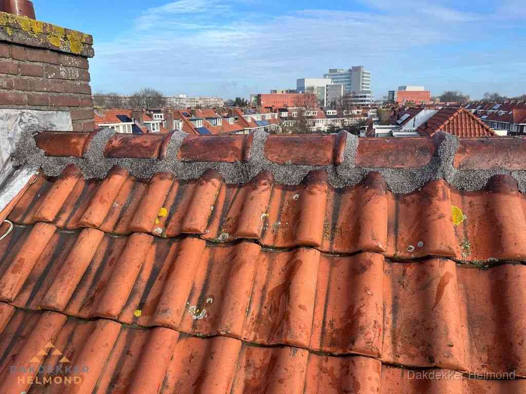 Nieuw bitumen plat dak met uitzicht over woonwijk in Helmond