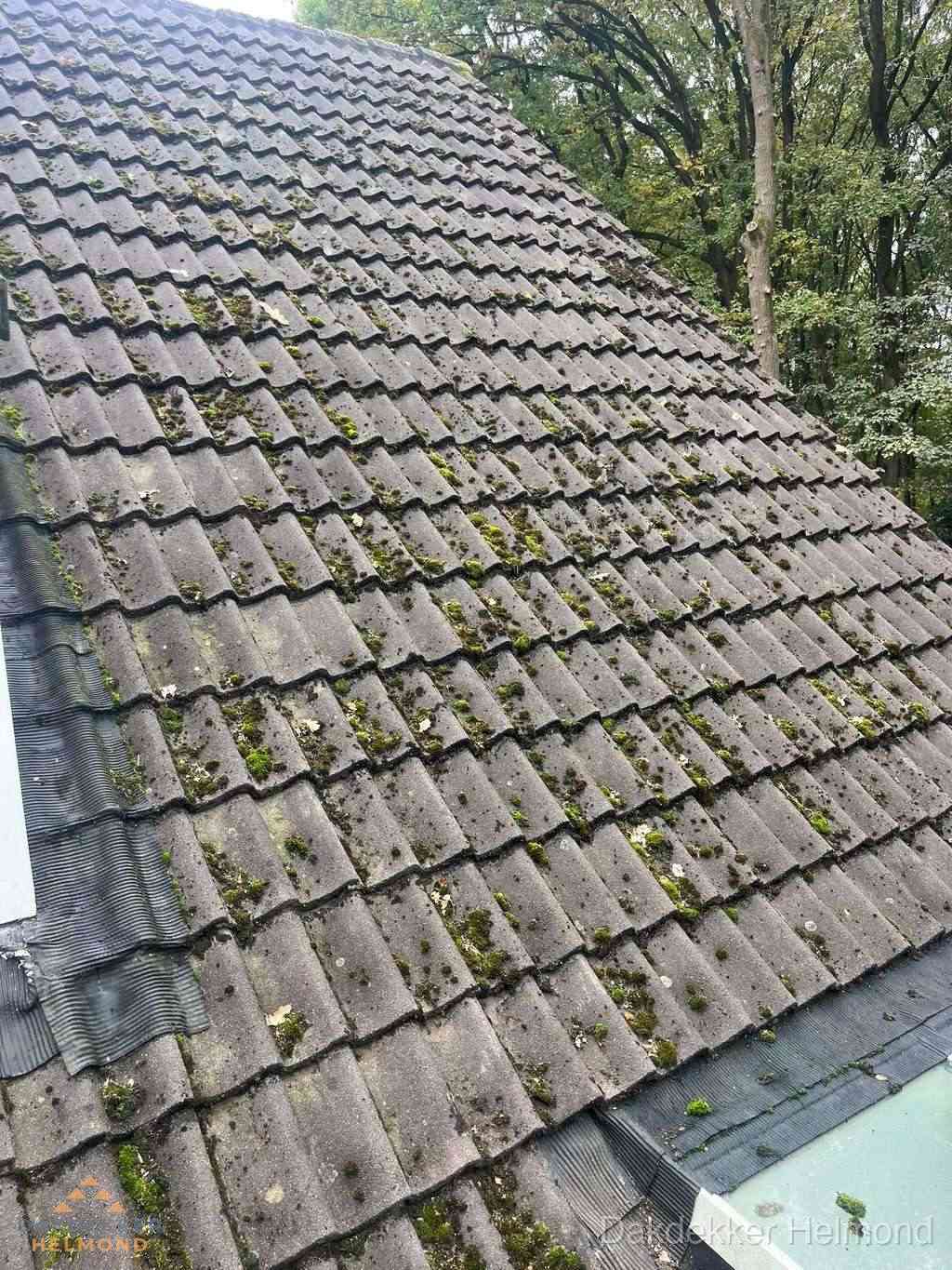 Verweerd pannendak met mosgroei dat renovatie nodig heeft in Helmond