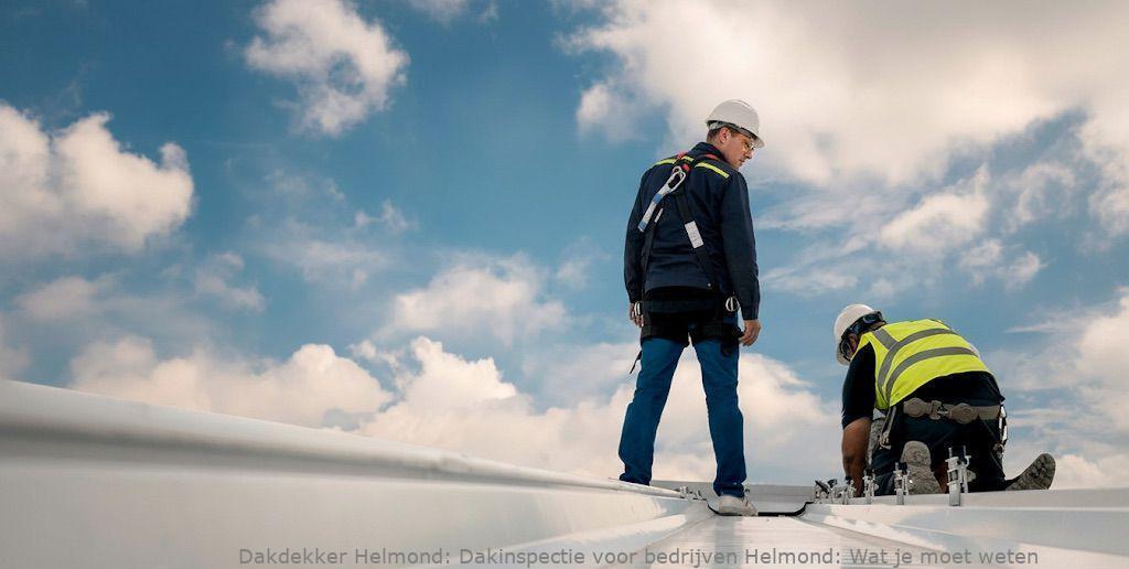 Dakinspectie Voor Bedrijven Helmond 1