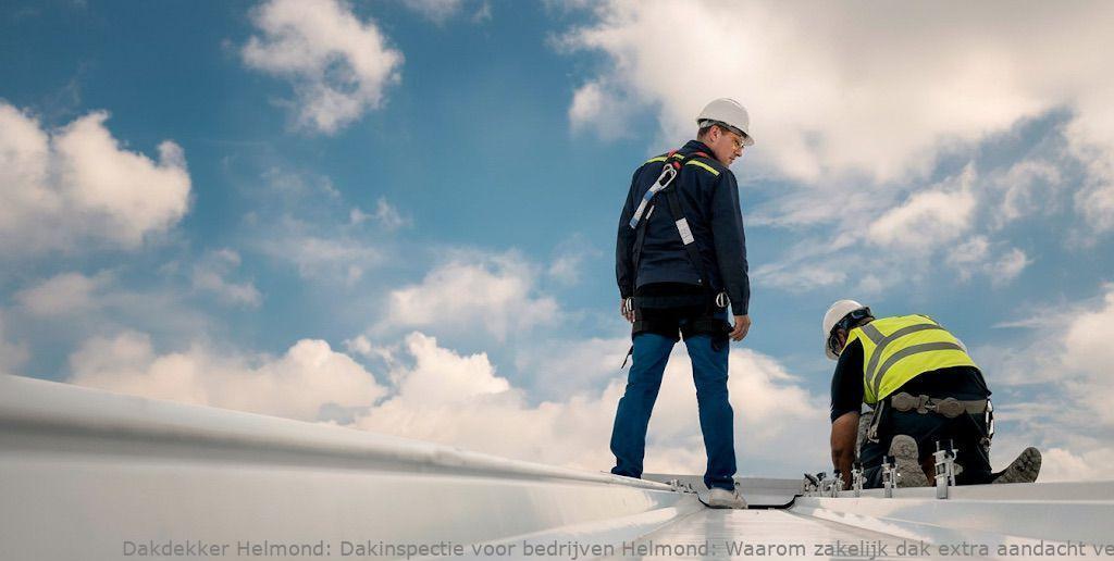 Dakinspectie Voor Bedrijven Helmond