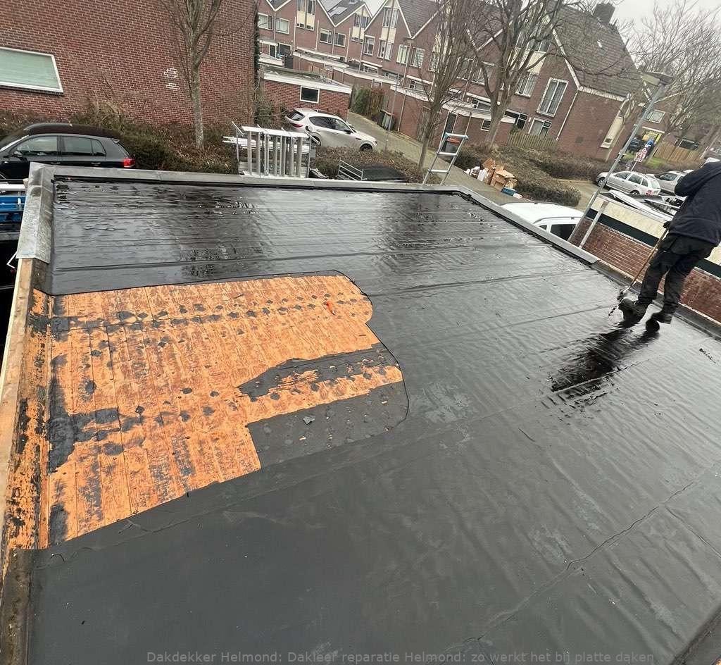 Dakleer Reparatie Helmond