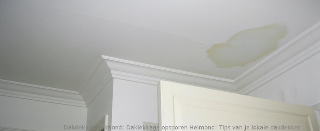 Daklekkage Opsporen Helmond 1