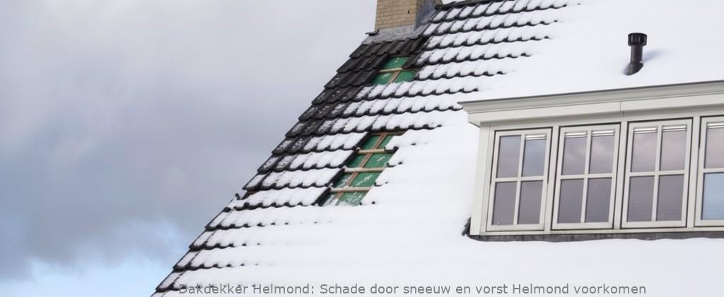Schade Door Sneeuw En Vorst Helmond