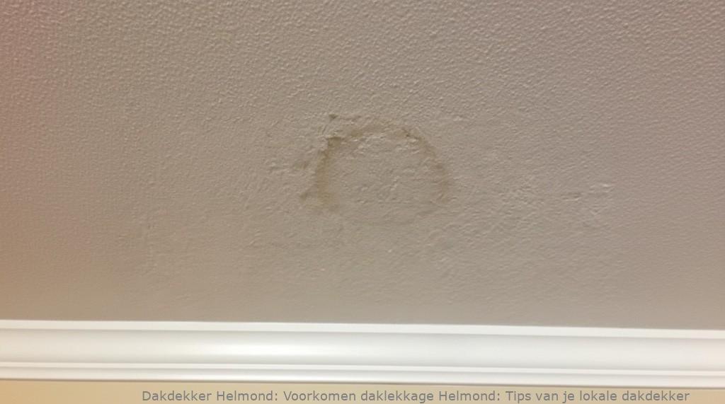 Voorkomen Daklekkage Helmond