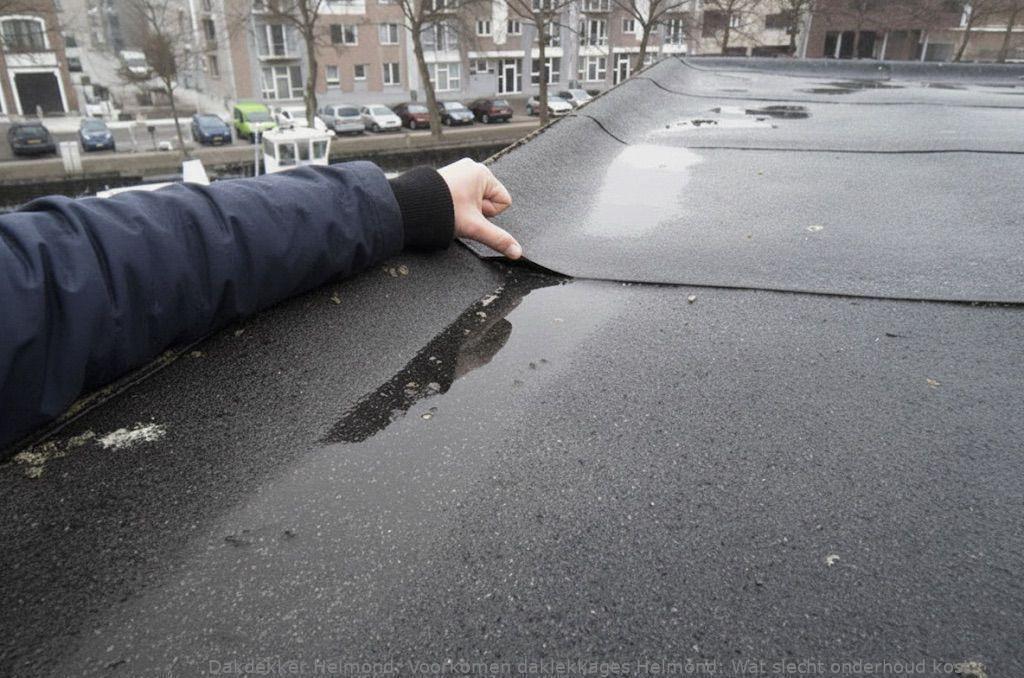 Voorkomen Daklekkages Helmond